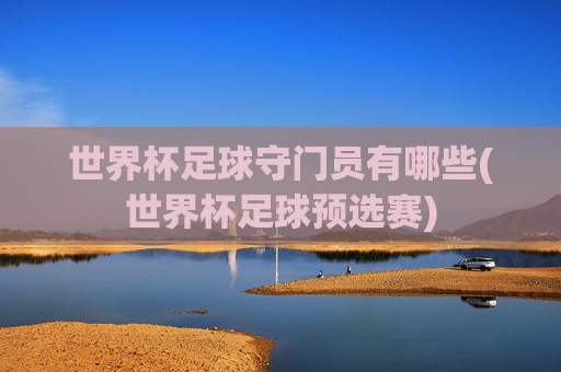 世界杯足球守门员有哪些(世界杯足球预选赛)
