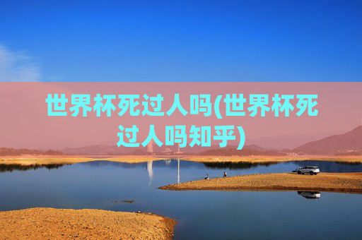 世界杯死过人吗(世界杯死过人吗知乎)