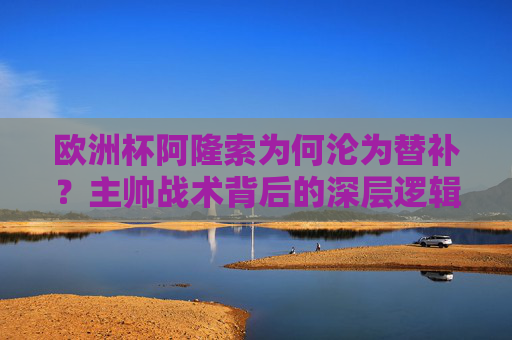 欧洲杯阿隆索为何沦为替补?主帅战术背后的深层逻辑,欧洲杯阿隆索沦为替补,主帅战术背后的深层逻辑