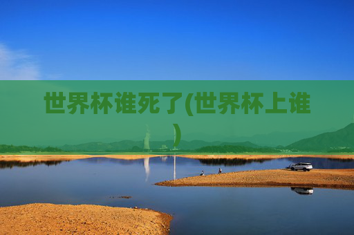 世界杯谁死了(世界杯上谁)