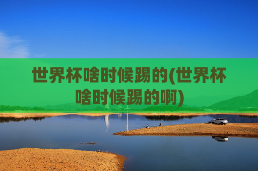 世界杯啥时候踢的(世界杯啥时候踢的啊)