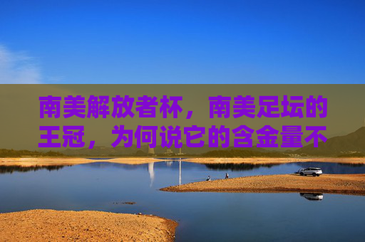 南美解放者杯,南美足坛的王冠,为何说它的含金量不输欧洲杯?