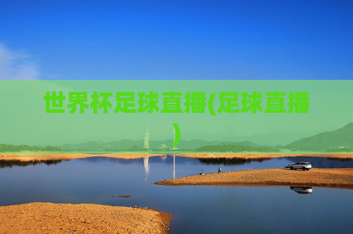 世界杯足球直播(足球直播)