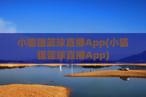 小狐狸篮球直播App(小狐狸篮球直播App)