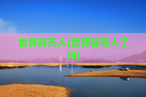 世界杯死人(世界杯死人了吗)