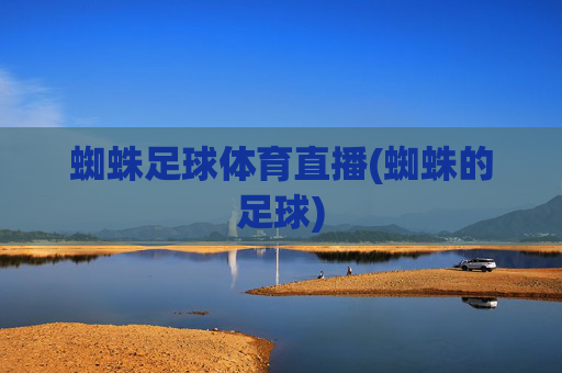蜘蛛足球体育直播(蜘蛛的足球)