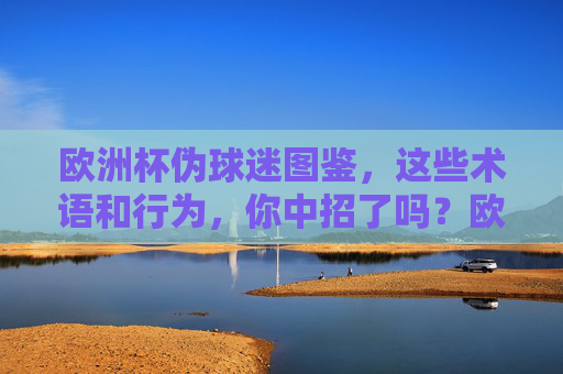 欧洲杯伪球迷图鉴，这些术语和行为，你中招了吗？欧洲杯伪球迷图鉴，这些术语与行为，你中招了吗？