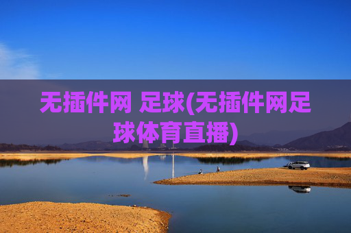 无插件网 足球(无插件网足球体育直播)