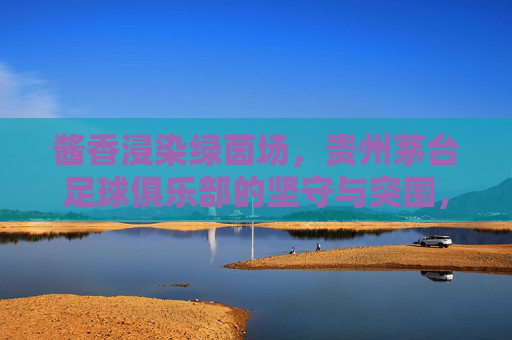 酱香浸染绿茵场，贵州茅台足球俱乐部的坚守与突围，酱香染绿茵，茅台足球的坚守与突围