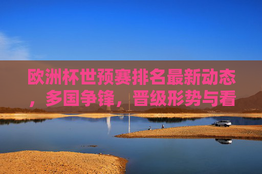 欧洲杯世预赛排名最新动态,多国争锋,晋级形势与看点解析,欧洲杯世预赛最新排名,多国争锋晋级形势与看点解析