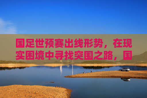 国足世预赛出线形势,在现实困境中寻找突围之路,国足世预赛,现实困境中的突围之路