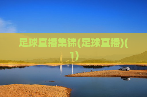 足球直播集锦(足球直播)(1)