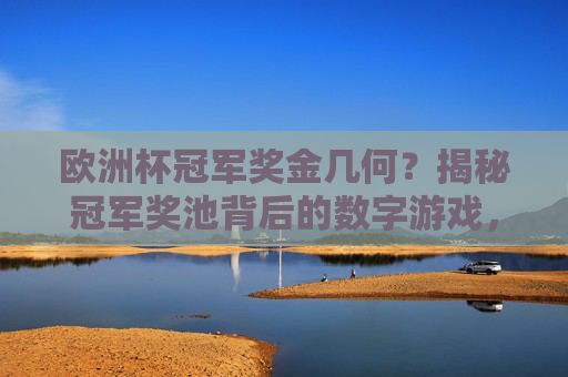 欧洲杯冠军奖金几何？揭秘冠军奖池背后的数字游戏，欧洲杯冠军奖金背后的数字游戏