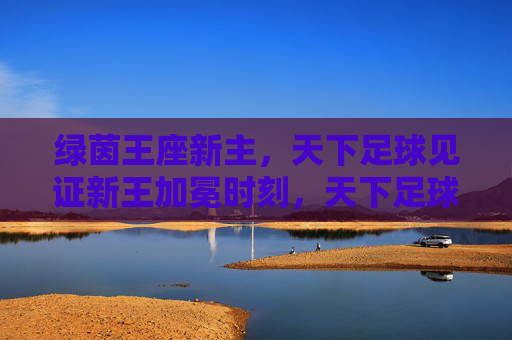 绿茵王座新主，天下足球见证新王加冕时刻，天下足球见证绿茵王座新王加冕
