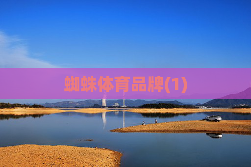 蜘蛛体育品牌(1)