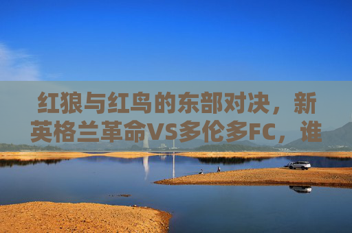 红狼与红鸟的东部对决,新英格兰革命VS多伦多FC,谁能笑傲北美赛场?红狼与红鸟东部对决,新英格兰革命VS多伦多FC,谁能笑傲北美赛场?