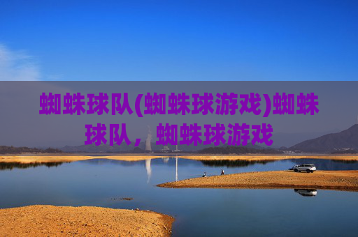 蜘蛛球队(蜘蛛球游戏)蜘蛛球队,蜘蛛球游戏