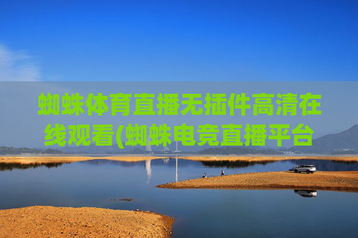 蜘蛛体育直播无插件高清在线观看(蜘蛛电竞直播平台hw)