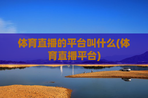 体育直播的平台叫什么(体育直播平台)