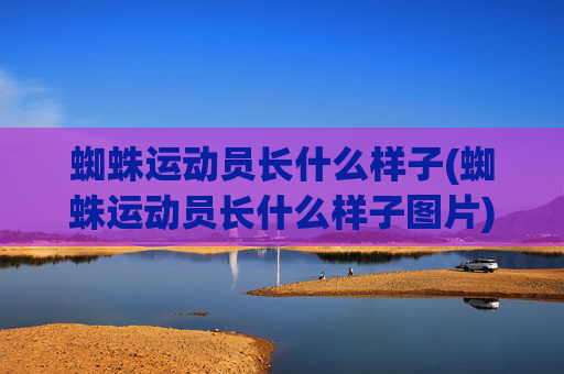 蜘蛛运动员长什么样子(蜘蛛运动员长什么样子图片)