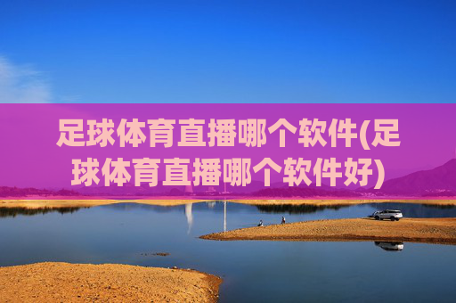 足球体育直播哪个软件(足球体育直播哪个软件好)