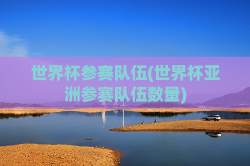 世界杯参赛队伍(世界杯亚洲参赛队伍数量)