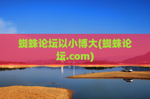 蜘蛛论坛以小博大(蜘蛛论坛.com)