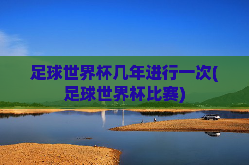足球世界杯几年进行一次(足球世界杯比赛)