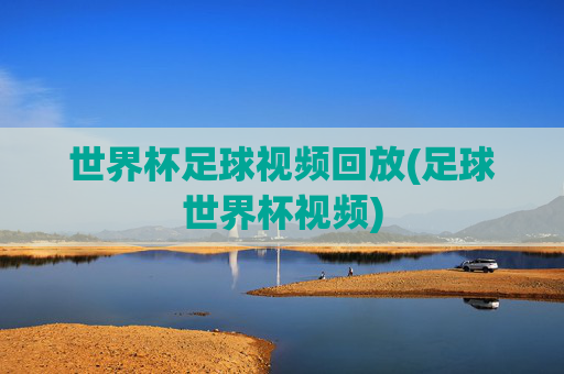 世界杯足球视频回放(足球世界杯视频)