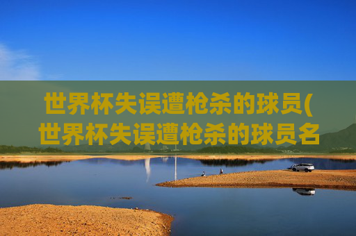 世界杯失误遭枪杀的球员(世界杯失误遭枪杀的球员名单)