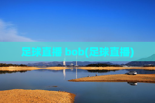 足球直播 bob(足球直播)