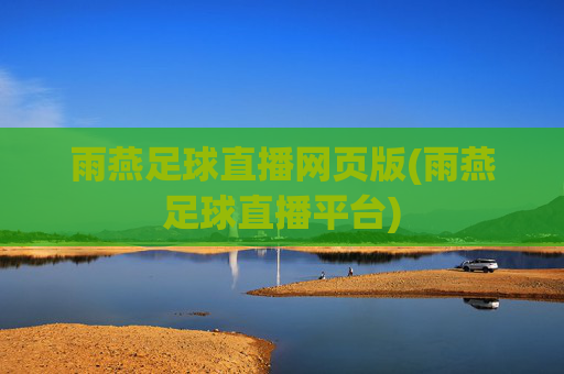 雨燕足球直播网页版(雨燕足球直播平台)