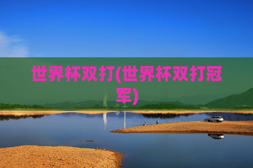 世界杯双打(世界杯双打冠军)