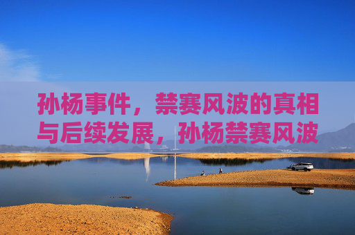 孙杨事件,禁赛风波的真相与后续发展,孙杨禁赛风波,真相与后续发展