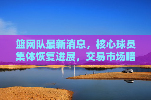 篮网队最新消息,核心球员集体恢复进展,交易市场暗流涌动