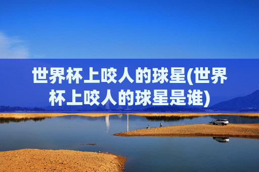 世界杯上咬人的球星(世界杯上咬人的球星是谁)
