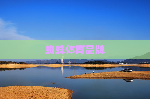 蜘蛛体育品牌