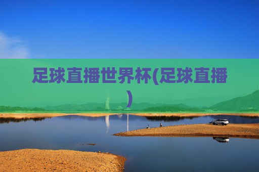 足球直播世界杯(足球直播)