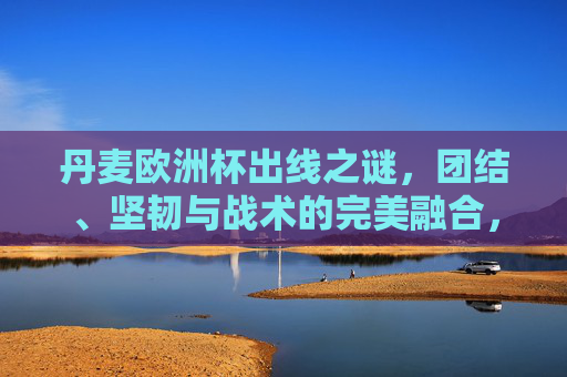 丹麦欧洲杯出线之谜，团结、坚韧与战术的完美融合，丹麦欧洲杯出线，团结坚韧与战术的完美融合