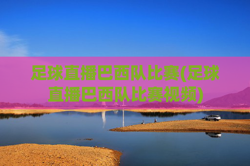 足球直播巴西队比赛(足球直播巴西队比赛视频)