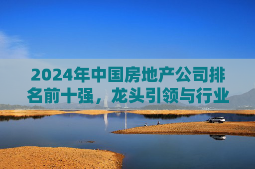 2024年中国房地产公司排名前十强,龙头引领与行业新格局,2024中国房地产十强排名,龙头引领行业新格局