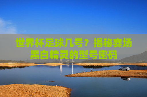 世界杯足球几号?揭秘赛场黑白精灵的型号密码