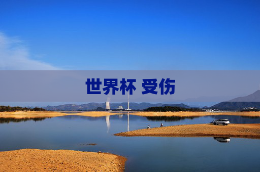 世界杯 受伤