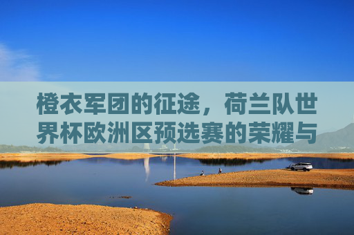 橙衣军团的征途，荷兰队世界杯欧洲区预选赛的荣耀与挑战，橙衣军团欧洲区预选赛征途，荣耀与挑战