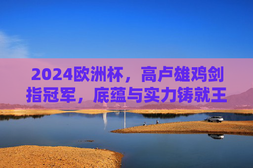 2024欧洲杯,高卢雄鸡剑指冠军,底蕴与实力铸就王座,2024欧洲杯高卢雄鸡,底蕴实力铸就王座,剑指冠军