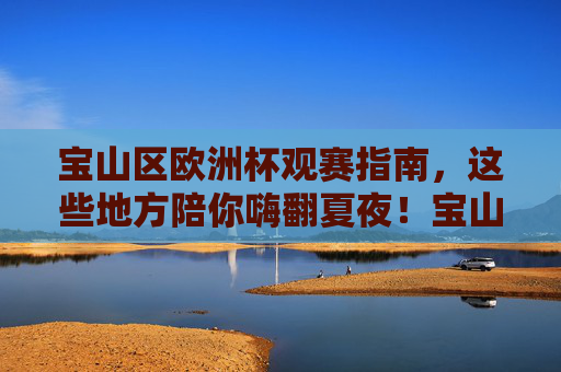 宝山区欧洲杯观赛指南,这些地方陪你嗨翻夏夜!宝山欧洲杯观赛指南,夏夜嗨翻观赛地!