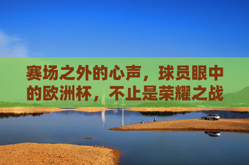 赛场之外的心声,球员眼中的欧洲杯,不止是荣耀之战,球员心声,欧洲杯不止是荣耀之战
