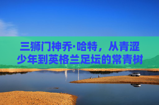 三狮门神乔·哈特，从青涩少年到英格兰足坛的常青树，三狮门神乔·哈特，从青涩少年到英格兰足坛常青树