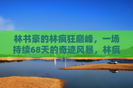 林书豪的林疯狂巅峰,一场持续68天的奇迹风暴,林疯狂巅峰,林书豪68天的奇迹风暴