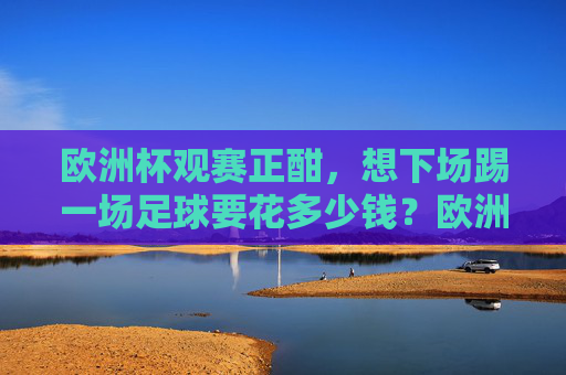 欧洲杯观赛正酣,想下场踢一场足球要花多少钱?欧洲杯正酣,踢一场足球要花多少钱?